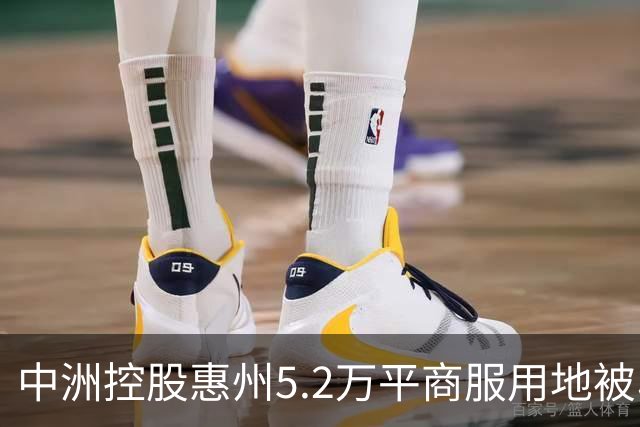 中洲控股惠州5.2万平商服用地被收回，官方：符合法定条件