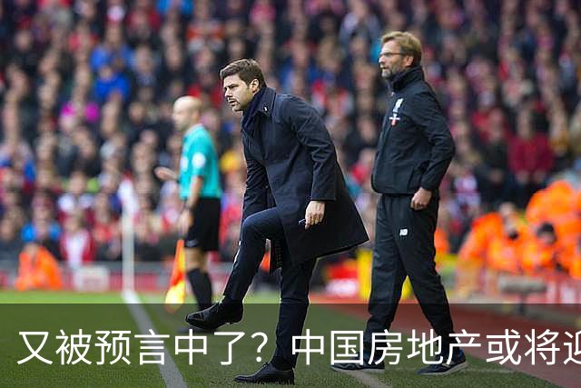 又被预言中了？中国房地产或将迎来新一轮暴涨？内行人讲出实情