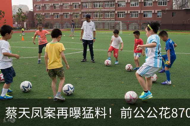 蔡天凤案再曝猛料！前公公花8700元买作案工具，碎骨机太贵换蒸锅